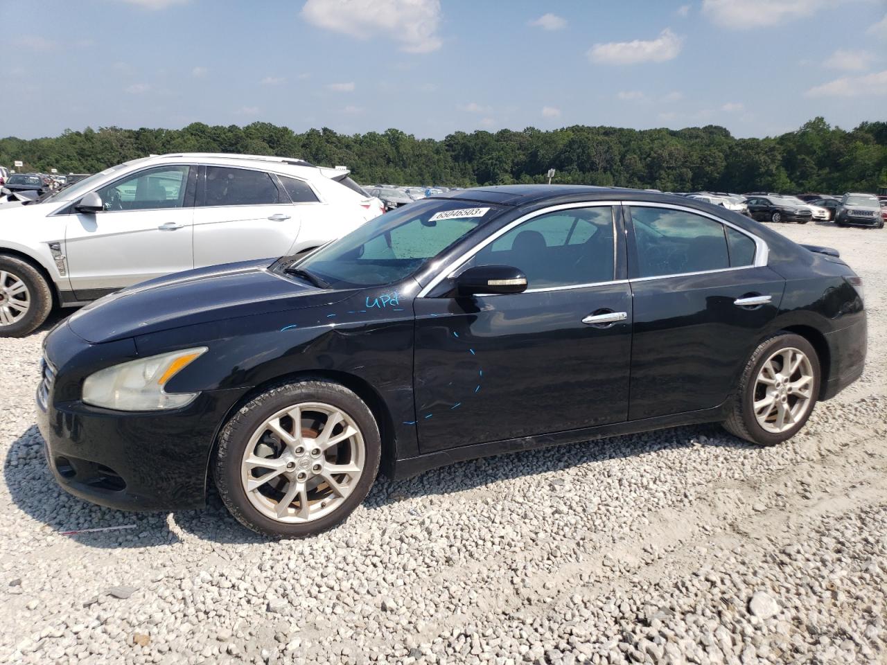 Obraz 2012 NISSAN MAXIMA S 2012