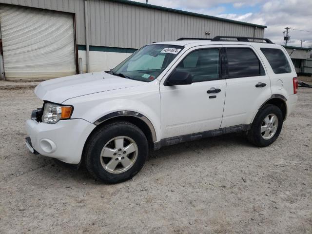 Obraz 2012 FORD ESCAPE XLT 2012