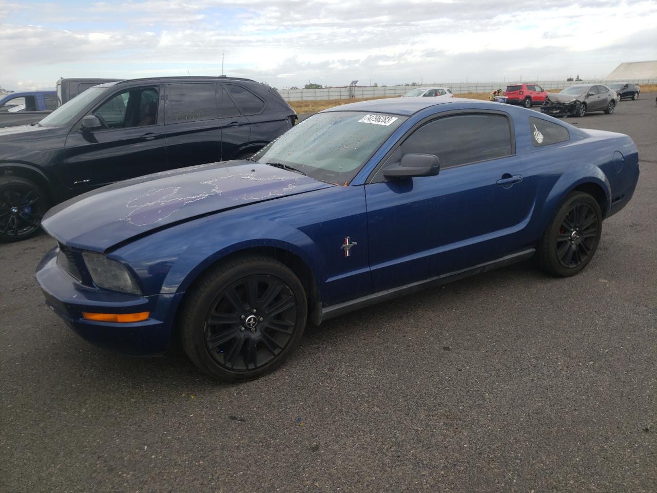 Obraz 2007 FORD MUSTANG  2007