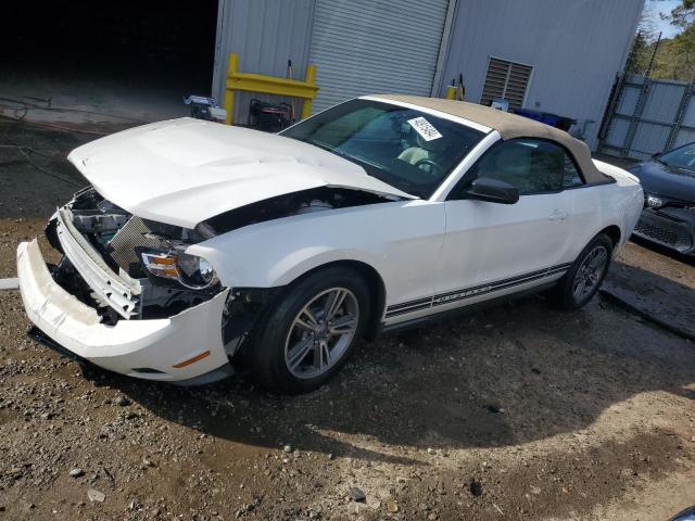 Obraz 1 z 2012 FORD MUSTANG  2012 z VIN 1ZVBP8EM4C5263983