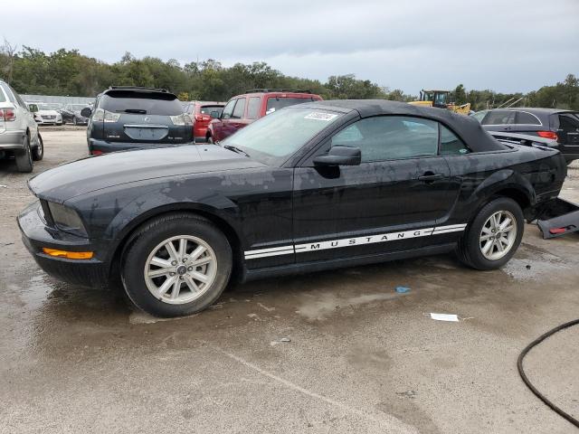 2006 FORD MUSTANG  2006 image