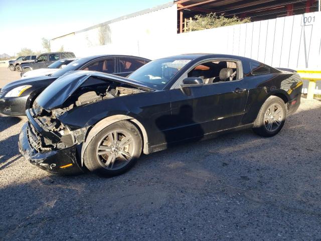 2013 FORD MUSTANG  2013 image