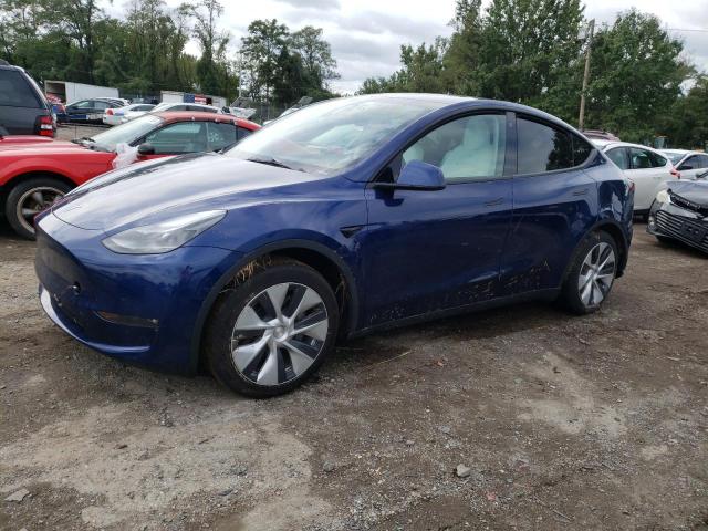 Obraz 2023 TESLA MODEL Y  2023