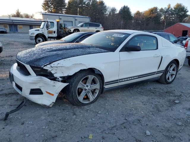 Изображение 1 2010 FORD MUSTANG  2010 с VIN 1ZVBP8ANXA5154777