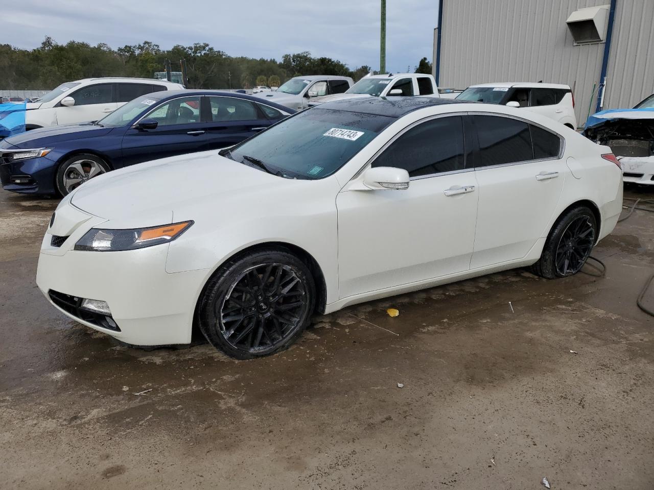 Изображение 2009 ACURA TL  2009