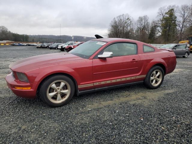2007 FORD MUSTANG  2007 image