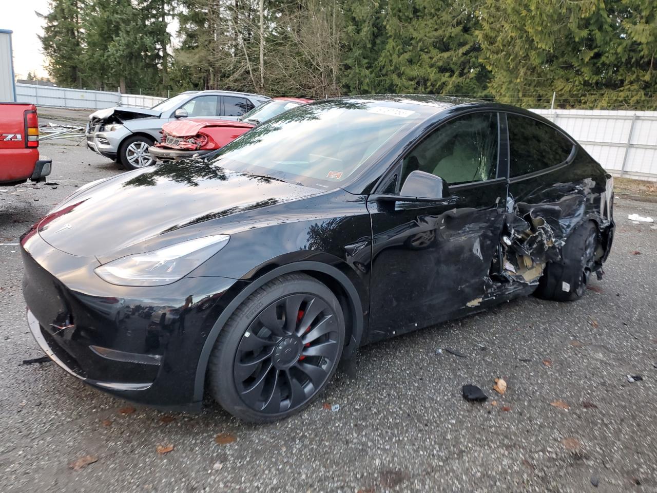 2022 TESLA MODEL Y  2022 image