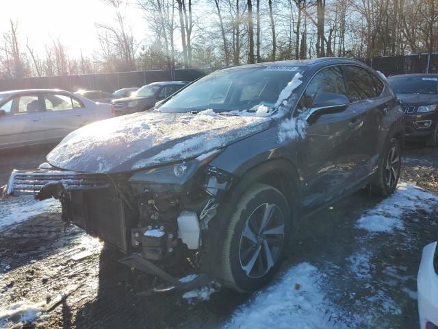 2020 LEXUS NX 300H 2020 image