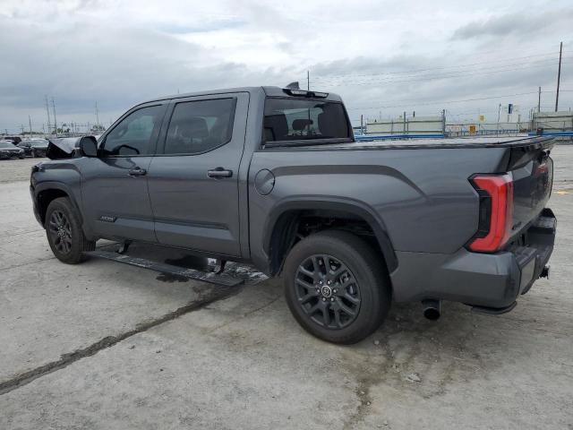 Изображение 2 2023 TOYOTA TUNDRA CREWMAX PLATINUM 2023 с VIN 5TFNA5DB7PX116079