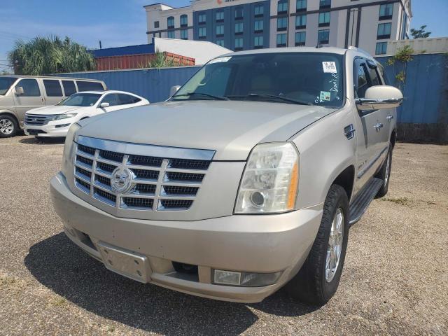 Obraz 2008 CADILLAC ESCALADE LUXURY 2008