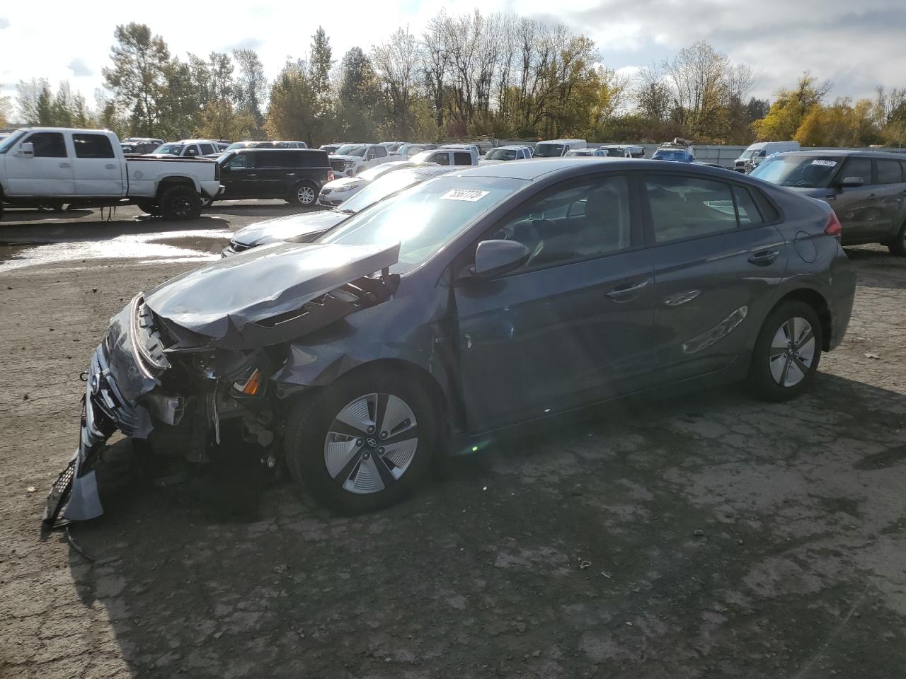 Obraz 2019 HYUNDAI IONIQ BLUE 2019