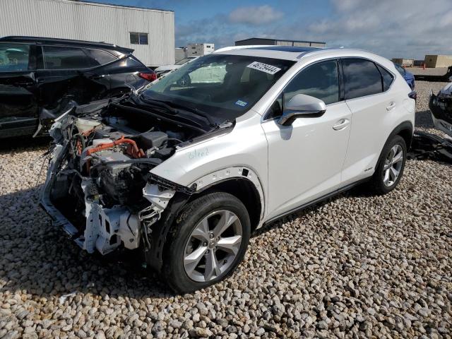 Изображение 2017 LEXUS NX 300H 2017