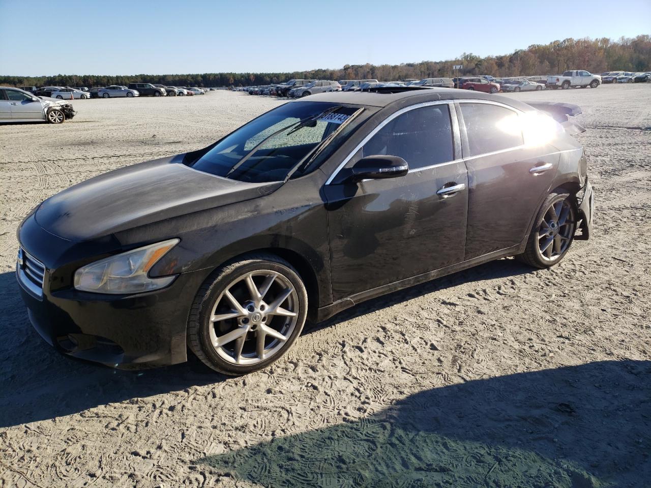 2010 NISSAN MAXIMA S 2010 image