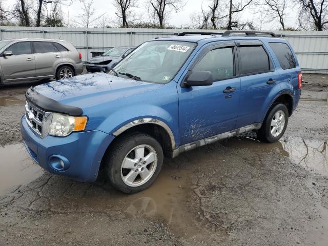 Obraz 2009 FORD ESCAPE XLT 2009
