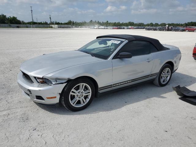 Obraz 2010 FORD MUSTANG  2010