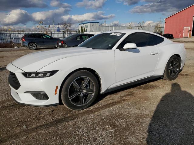 Image 1 of 2024 FORD MUSTANG  2024 with VIN 1FA6P8TH6R5106125