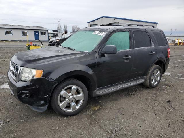Image 1 of 2011 FORD ESCAPE XLT 2011 with VIN 1FMCU9DG6BKA40194