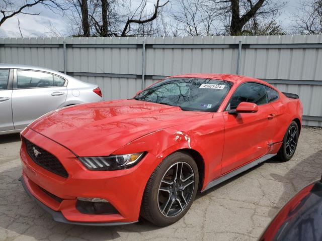 2015 FORD MUSTANG  2015 image