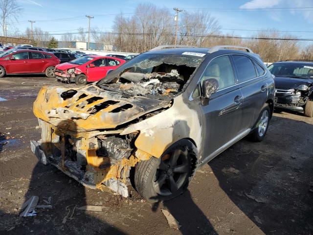 Obraz 2010 LEXUS RX 350 2010