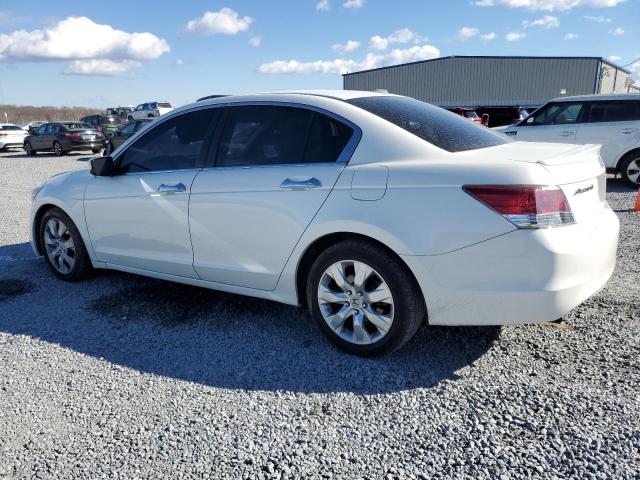 Изображение 2 2008 HONDA ACCORD EXL 2008 с VIN 1HGCP36868A035303