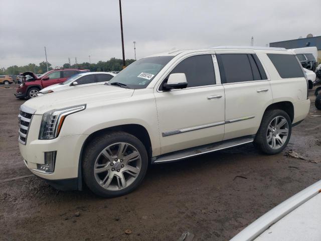 2015 CADILLAC ESCALADE LUXURY 2015 image