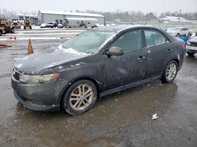 Изображение 1 2012 KIA FORTE EX 2012 с VIN KNAFU4A22C5480682