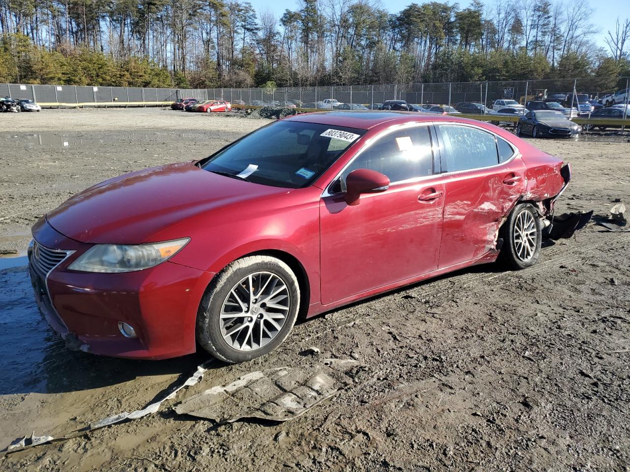 2013 LEXUS ES 350 2013 image