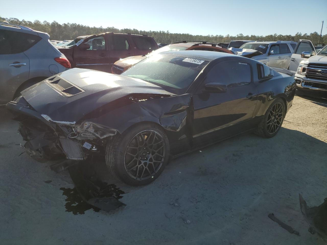 Obraz 2013 FORD MUSTANG SHELBY GT500 2013