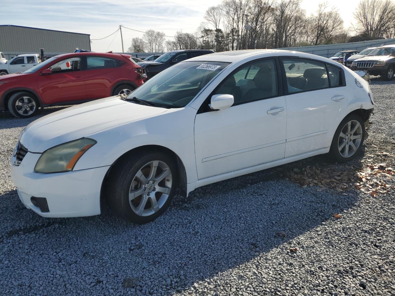 Изображение 2008 NISSAN MAXIMA SE 2008
