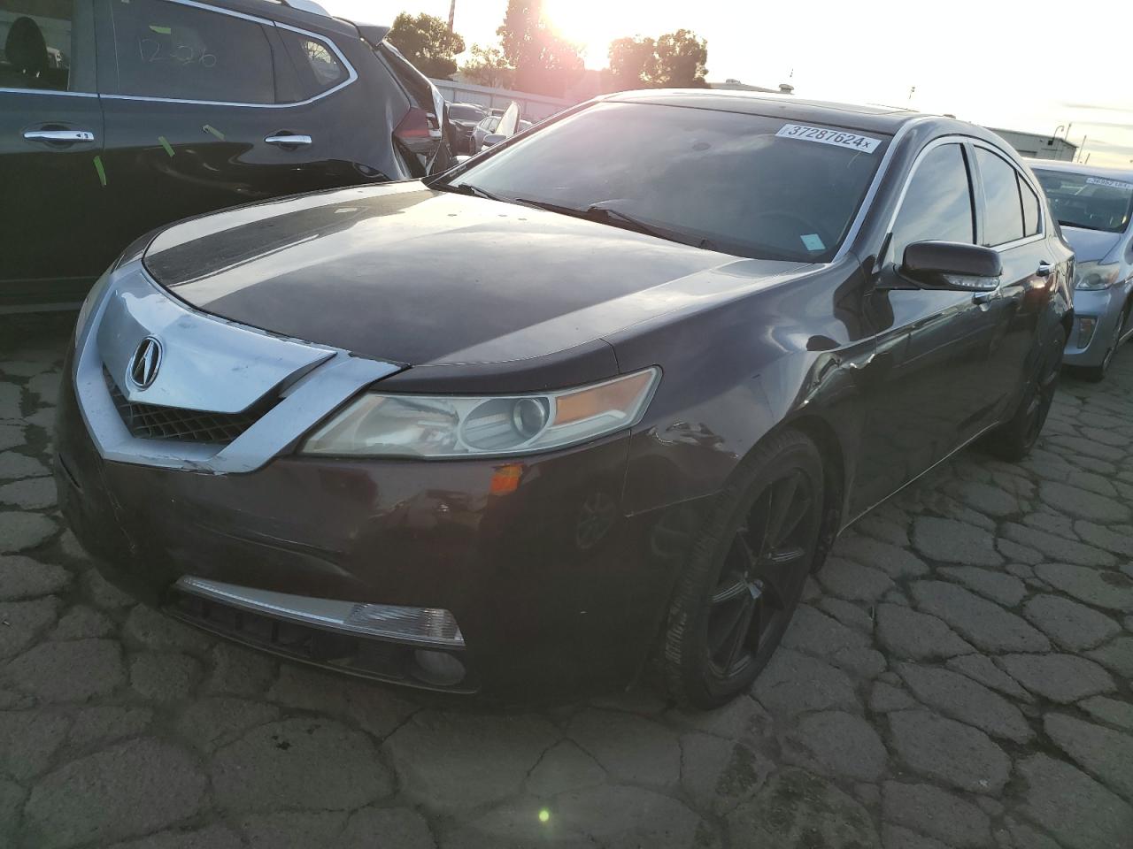 Obraz 2010 ACURA TL  2010
