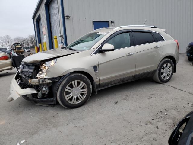 Obraz 2011 CADILLAC SRX LUXURY COLLECTION 2011
