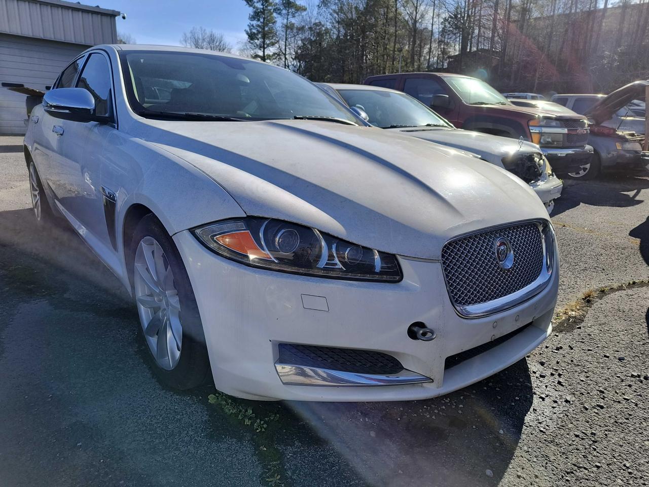 Obraz 2012 JAGUAR XF  2012