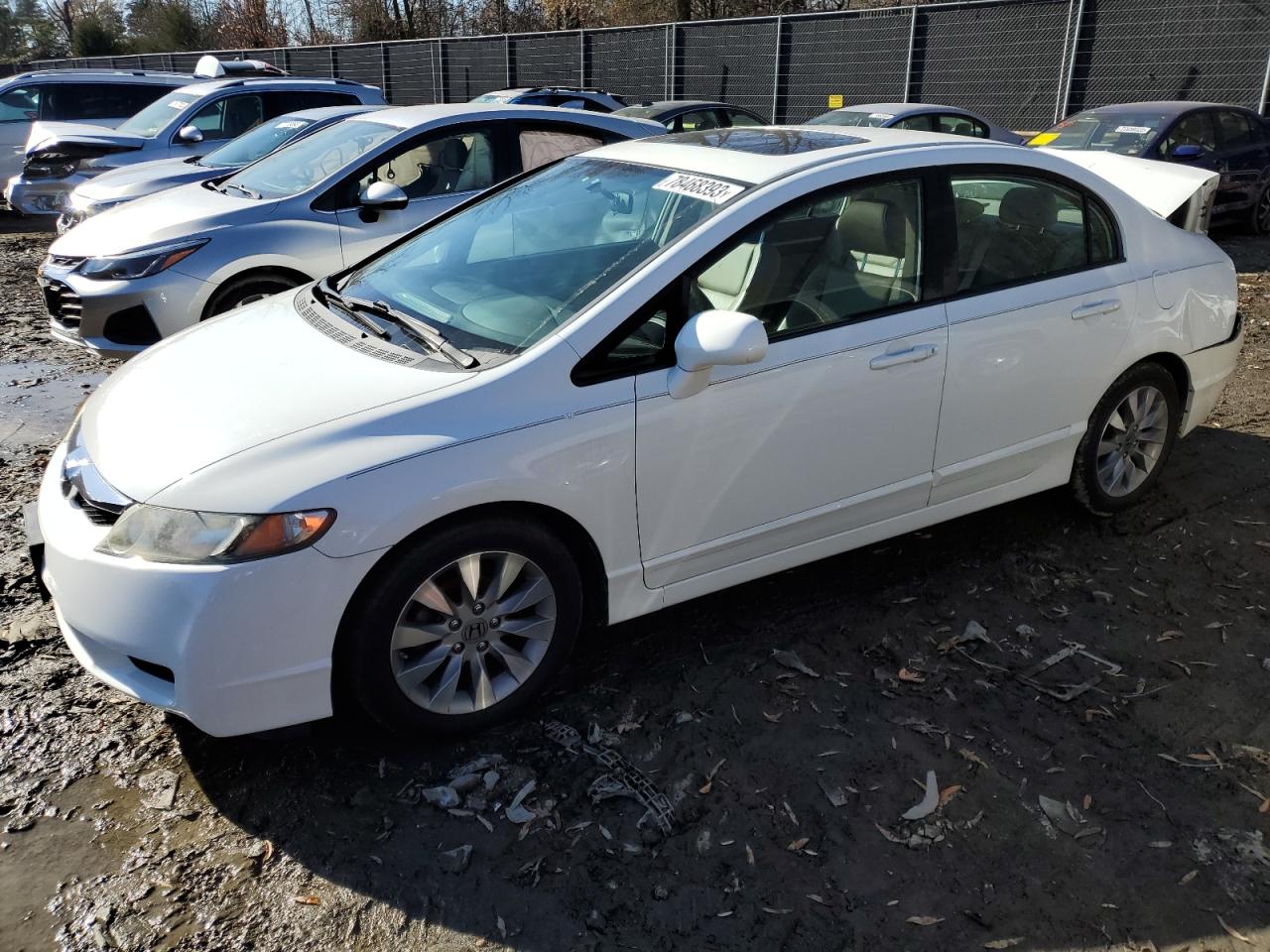 Obraz 1 z 2010 HONDA CIVIC EXL 2010 z VIN 19XFA1F90AE063613