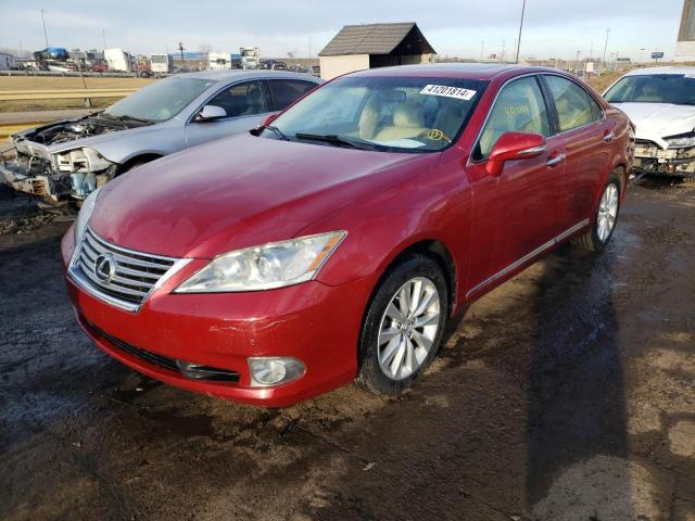 Изображение 2010 LEXUS ES 350 2010