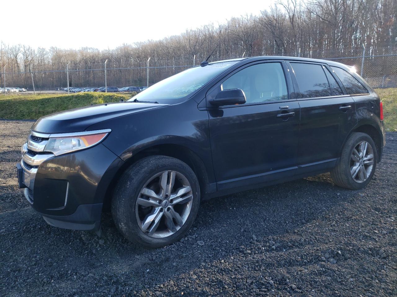 Obraz 2013 FORD EDGE SEL 2013