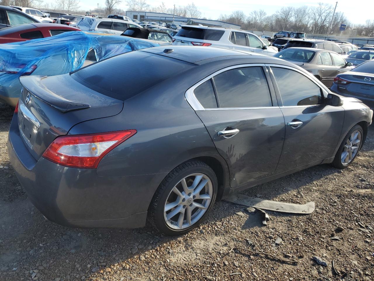 Изображение 3 2009 NISSAN MAXIMA S 2009 с VIN 1N4AA51E39C853597