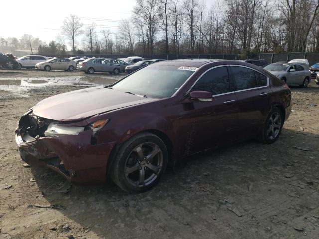 Obraz 2011 ACURA TL  2011