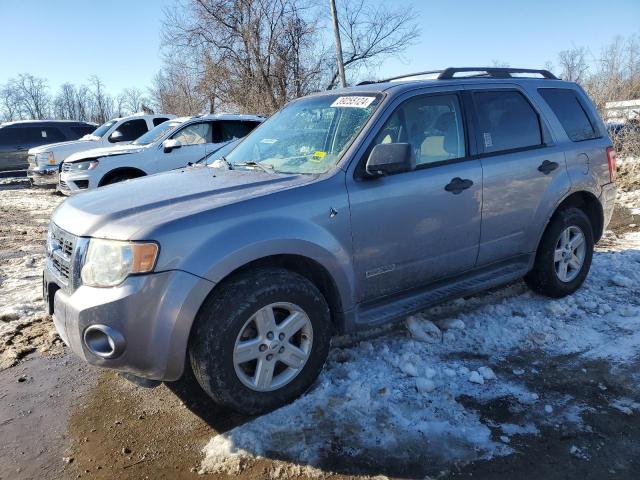 2008 FORD ESCAPE HEV 2008 image