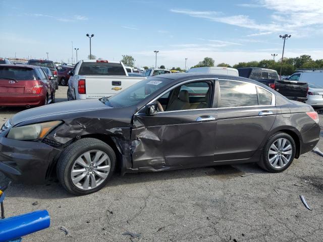 Obraz 2011 HONDA ACCORD EXL 2011