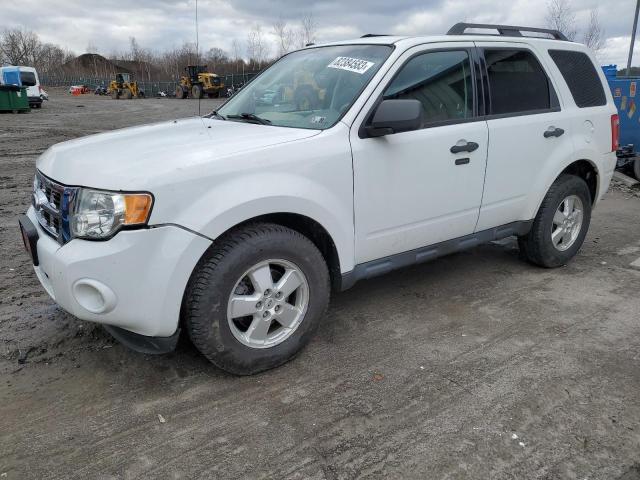 Image 1 of 2010 FORD ESCAPE XLT 2010 with VIN 1FMCU0DG0AKA68695