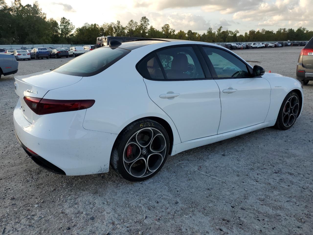 Изображение 3 2022 ALFA ROMEO GIULIA SUPER 2022 с VIN ZARFAMBN0N7665024
