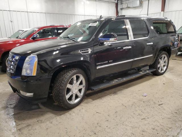 Obraz 2011 CADILLAC ESCALADE ESV PREMIUM 2011