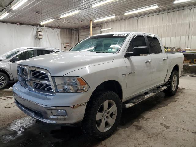 2010 DODGE RAM 1500  2010 image