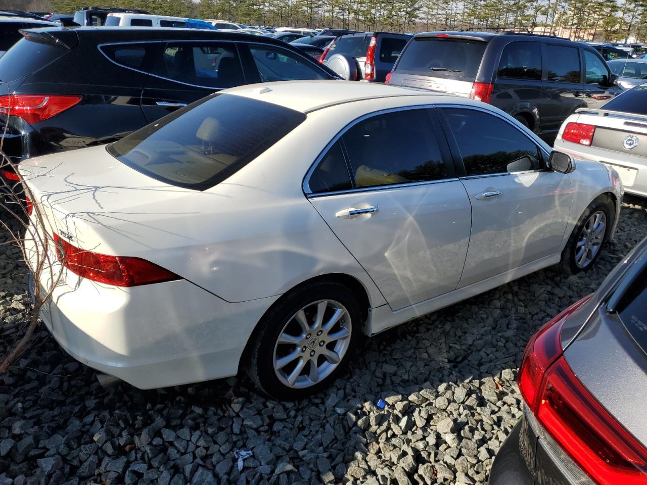 Image 3 of 2008 ACURA TSX  2008 with VIN JH4CL96928C011704