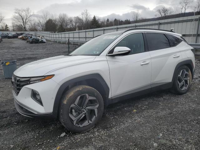 2023 HYUNDAI TUCSON LIMITED 2023 image