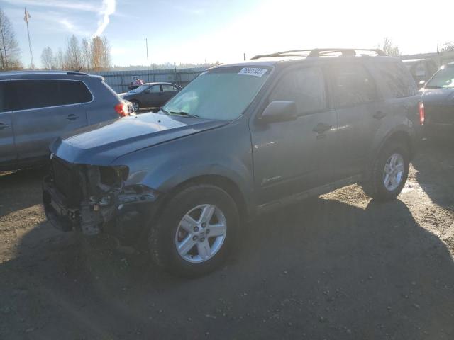 2011 FORD ESCAPE HYBRID 2011 image