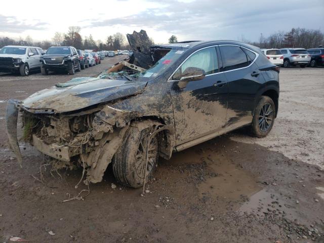 Obraz 2024 LEXUS NX 350 PREMIUM 2024