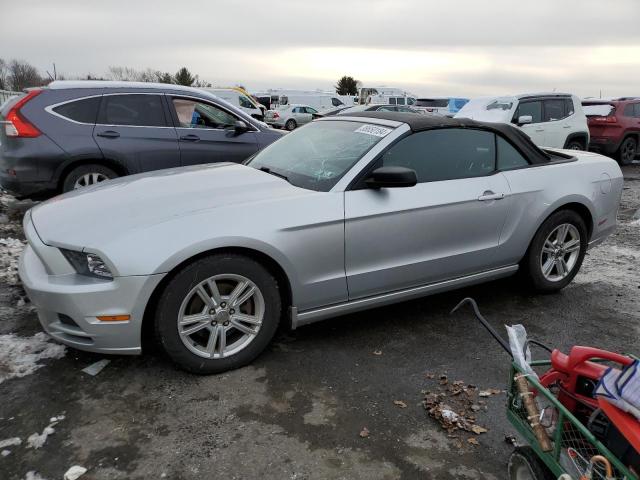 2013 FORD MUSTANG  2013 image