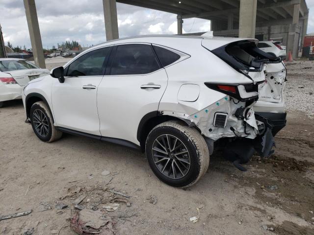 Изображение 2 2024 LEXUS NX 250 BASE 2024 с VIN JTJADCAZ0R5014095