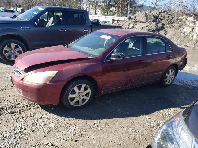 2005 HONDA ACCORD EX 2005 image